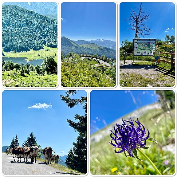 Ausflug Trattbergalm